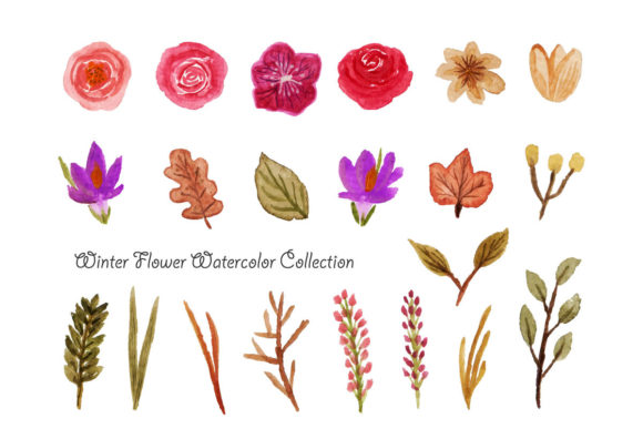 Download Winter Flower Watercolor - Premium Resources